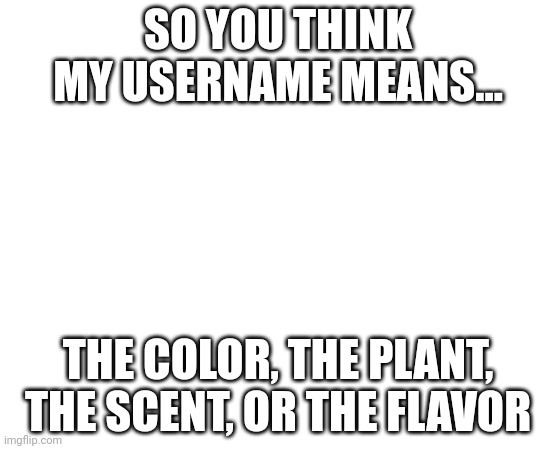All | SO YOU THINK MY USERNAME MEANS... THE COLOR, THE PLANT, THE SCENT, OR THE FLAVOR | image tagged in oh really | made w/ Imgflip meme maker