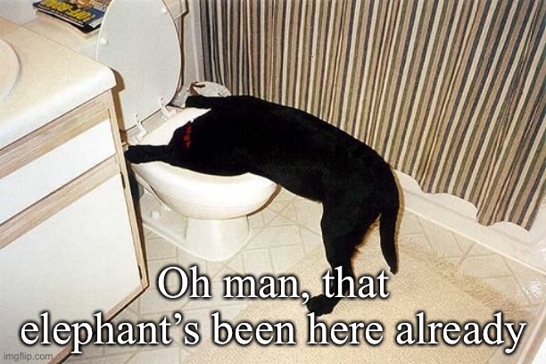 Dog with head in toilet | Oh man, that elephant’s been here already | image tagged in dog with head in toilet | made w/ Imgflip meme maker
