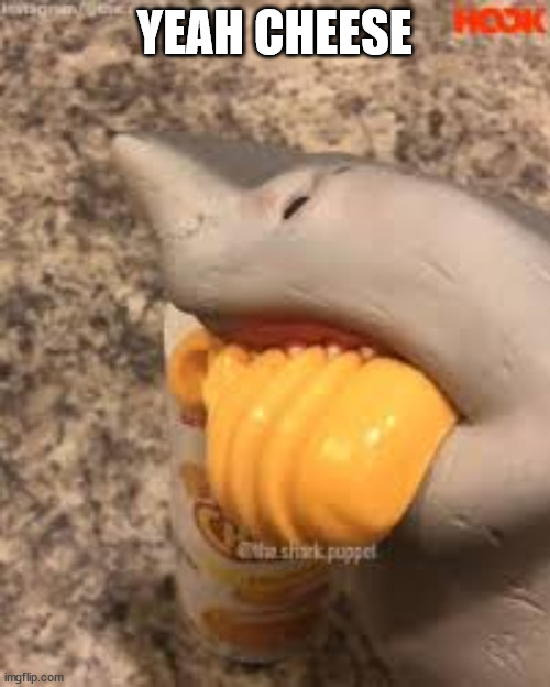 Shark Puppet Yeah Cheese | YEAH CHEESE | image tagged in shark puppet yeah cheese | made w/ Imgflip meme maker