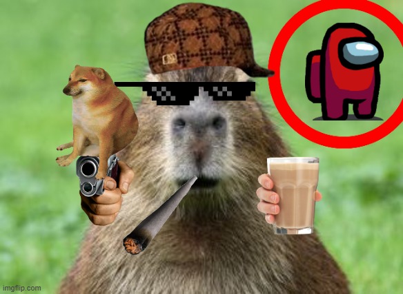 Disappointed Capybara | image tagged in disappointed capybara | made w/ Imgflip meme maker