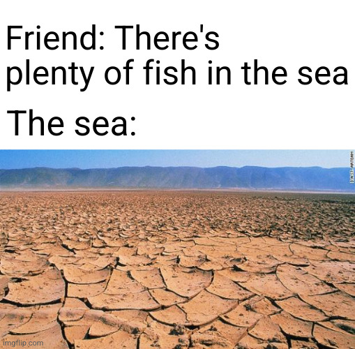 Plenty of fish in the sea | Friend: There's plenty of fish in the sea; The sea: | image tagged in desert | made w/ Imgflip meme maker