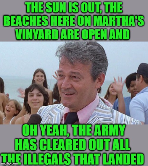 yep | THE SUN IS OUT, THE BEACHES HERE ON MARTHA'S VINYARD ARE OPEN AND; OH YEAH, THE ARMY HAS CLEARED OUT ALL THE ILLEGALS THAT LANDED | image tagged in mayor from jaws | made w/ Imgflip meme maker