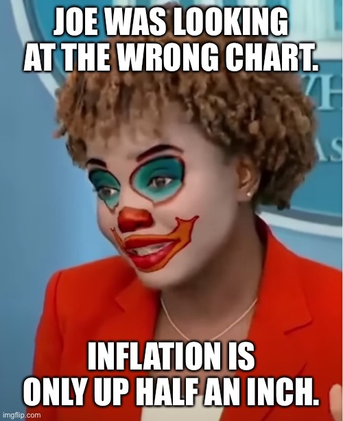 Clown Karine | JOE WAS LOOKING AT THE WRONG CHART. INFLATION IS ONLY UP HALF AN INCH. | image tagged in clown karine | made w/ Imgflip meme maker