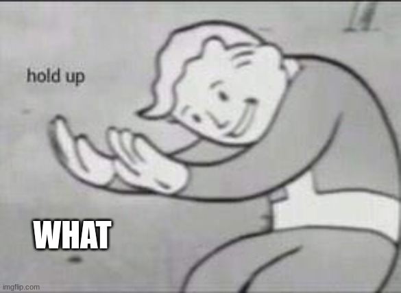 Fallout Hold Up | WHAT | image tagged in fallout hold up | made w/ Imgflip meme maker