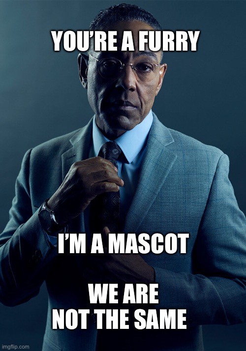 We are not the same | YOU’RE A FURRY; I’M A MASCOT; WE ARE NOT THE SAME | image tagged in gus fring we are not the same,memes,funny memes,breaking bad | made w/ Imgflip meme maker