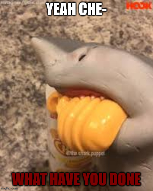 Shark Puppet Yeah Cheese | YEAH CHE- WHAT HAVE YOU DONE | image tagged in shark puppet yeah cheese | made w/ Imgflip meme maker