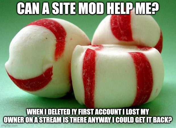 Mints | CAN A SITE MOD HELP ME? WHEN I DELETED !Y FIRST ACCOUNT I LOST MY OWNER ON A STREAM IS THERE ANYWAY I COULD GET IT BACK? | image tagged in mints | made w/ Imgflip meme maker