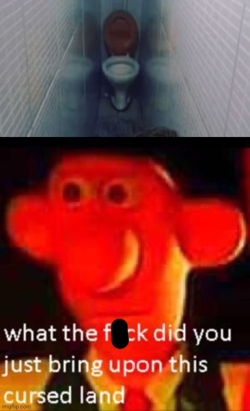 What the f**k did you just bring upon this cursed land | image tagged in what the f k did you just bring upon this cursed land,toilet,hallway,haunted | made w/ Imgflip meme maker