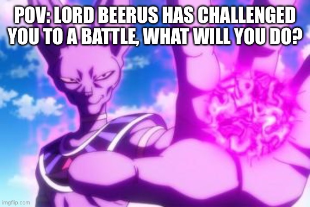 this is some role play, NO NSFW PLEASE | POV: LORD BEERUS HAS CHALLENGED YOU TO A BATTLE, WHAT WILL YOU DO? | image tagged in beerus,dragon ball super | made w/ Imgflip meme maker