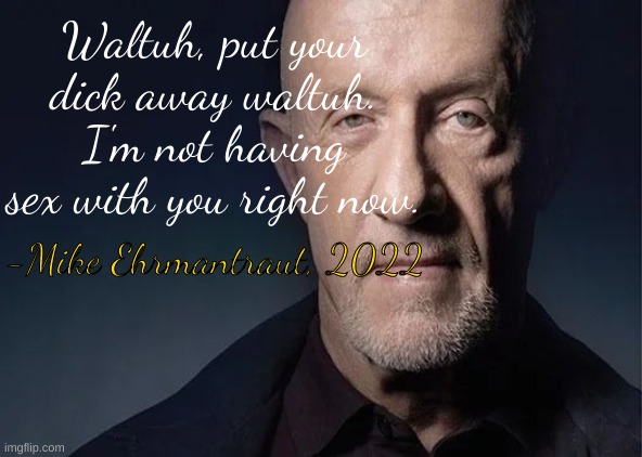 waltuh | Waltuh, put your dick away waltuh. I'm not having sex with you right now. -Mike Ehrmantraut, 2022 | image tagged in breaking bad | made w/ Imgflip meme maker