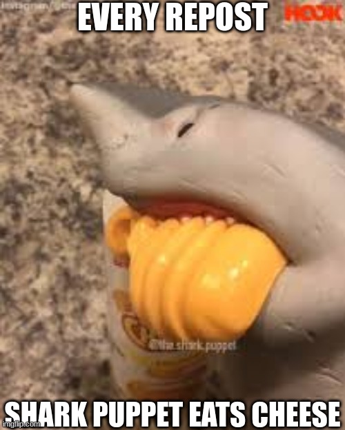 Yeah Cheese | EVERY REPOST; SHARK PUPPET EATS CHEESE | image tagged in shark puppet yeah cheese,shark puppet | made w/ Imgflip meme maker