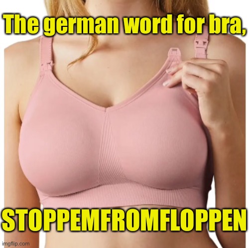 Girl in bra | The german word for bra, STOPPEMFROMFLOPPEN | image tagged in girl wearing bra,german,for bra,stoppemfromfloppen,female,dark humour | made w/ Imgflip meme maker