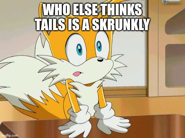 WHO ELSE THINKS TAILS IS A SKRUNKLY | image tagged in tails | made w/ Imgflip meme maker