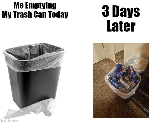 Blank White Template | Me Emptying My Trash Can Today; 3 Days Later | image tagged in blank white template | made w/ Imgflip meme maker