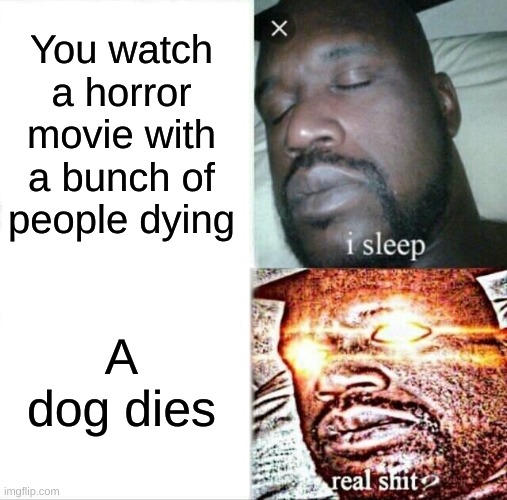 True | You watch a horror movie with a bunch of people dying; A dog dies | image tagged in memes,sleeping shaq | made w/ Imgflip meme maker