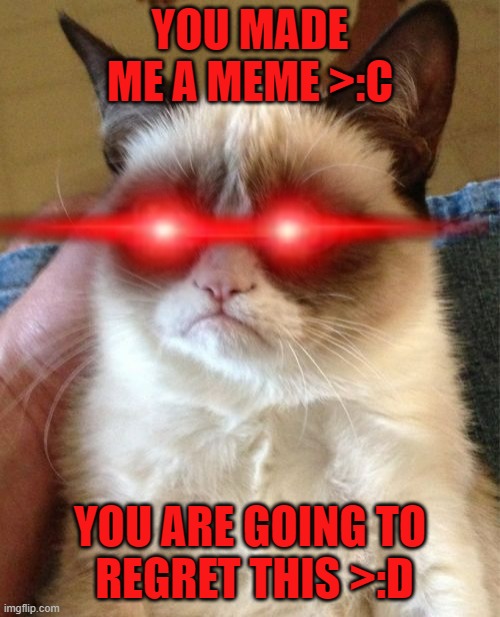 Grumpy Cat | YOU MADE ME A MEME >:C; YOU ARE GOING TO
 REGRET THIS >:D | image tagged in memes,grumpy cat | made w/ Imgflip meme maker