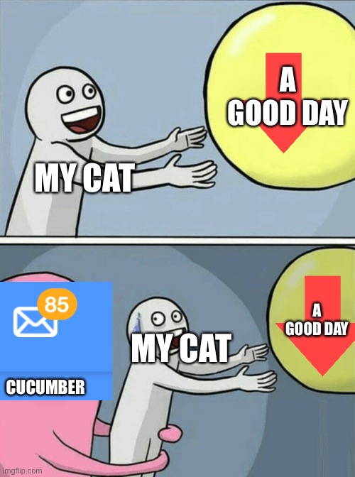 Running Away Balloon | A GOOD DAY; MY CAT; A GOOD DAY; MY CAT; CUCUMBER | image tagged in memes,running away balloon | made w/ Imgflip meme maker