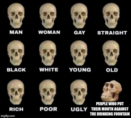 idiot skull | PEOPLE WHO PUT THEIR MOUTH AGAINST THE DRINKING FOUNTAIN | image tagged in idiot skull | made w/ Imgflip meme maker