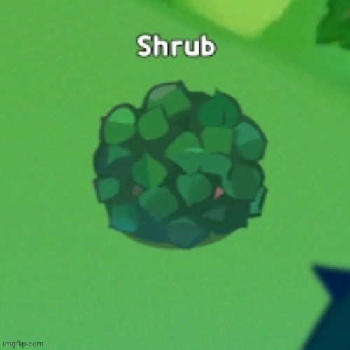 shrub | made w/ Imgflip meme maker