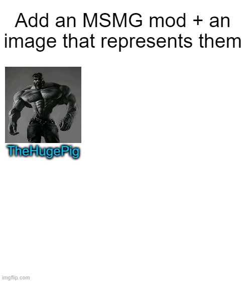Blank White Template | Add an MSMG mod + an image that represents them; TheHugePig | made w/ Imgflip meme maker