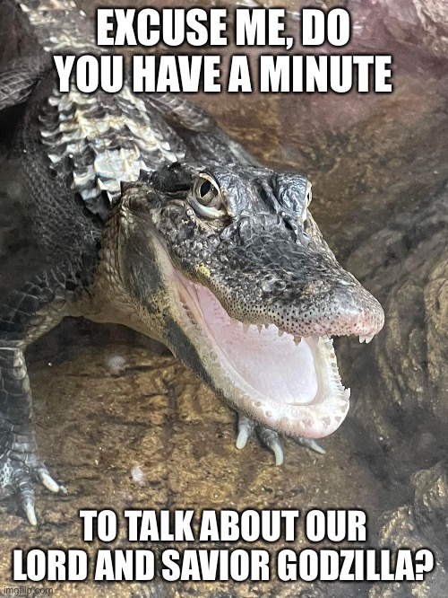 Friendly Gator | EXCUSE ME, DO YOU HAVE A MINUTE; TO TALK ABOUT OUR LORD AND SAVIOR GODZILLA? | image tagged in alligator,godzilla | made w/ Imgflip meme maker