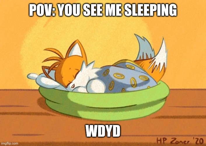 POV: YOU SEE ME SLEEPING; WDYD | image tagged in tails | made w/ Imgflip meme maker