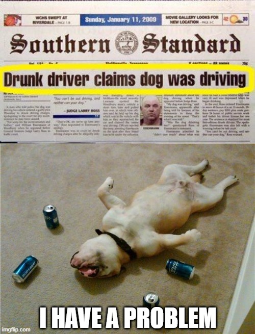 The Dog Did It | I HAVE A PROBLEM | image tagged in drunk dog | made w/ Imgflip meme maker
