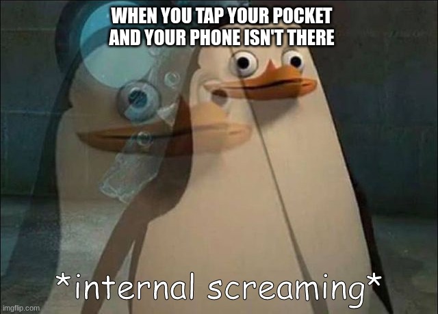 Private Internal Screaming | WHEN YOU TAP YOUR POCKET AND YOUR PHONE ISN'T THERE | image tagged in private internal screaming | made w/ Imgflip meme maker