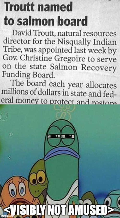 Fishy | <VISIBLY NOT AMUSED> | image tagged in spongebob | made w/ Imgflip meme maker