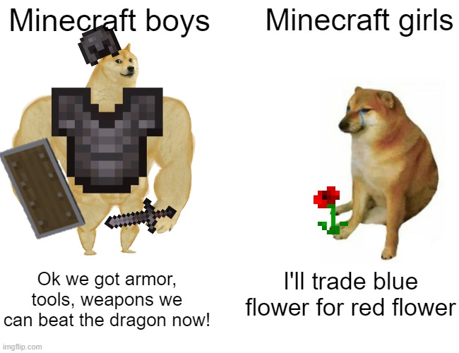 minecraft bots vs girls | Minecraft boys; Minecraft girls; Ok we got armor, tools, weapons we can beat the dragon now! I'll trade blue flower for red flower | image tagged in memes,buff doge vs cheems | made w/ Imgflip meme maker