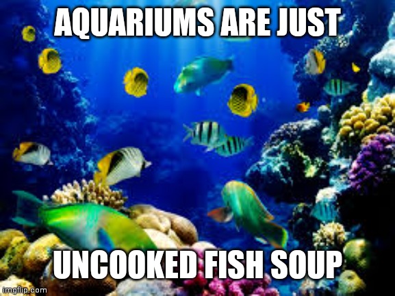 Aquarium fishes | AQUARIUMS ARE JUST; UNCOOKED FISH SOUP | image tagged in aquarium fishes | made w/ Imgflip meme maker