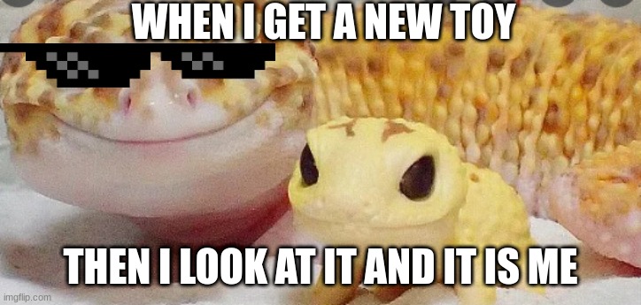 lizard | WHEN I GET A NEW TOY; THEN I LOOK AT IT AND IT IS ME | image tagged in memes | made w/ Imgflip meme maker