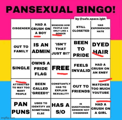 Pansexual Bingo | image tagged in pansexual bingo | made w/ Imgflip meme maker