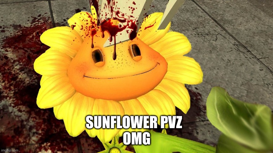 GUYS LOOK ITS SUNFLOWER PVZ |  OMG; SUNFLOWER PVZ | image tagged in memes,sunflower,pvz | made w/ Imgflip meme maker