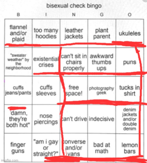 Bisexual Bingo | image tagged in bisexual bingo | made w/ Imgflip meme maker