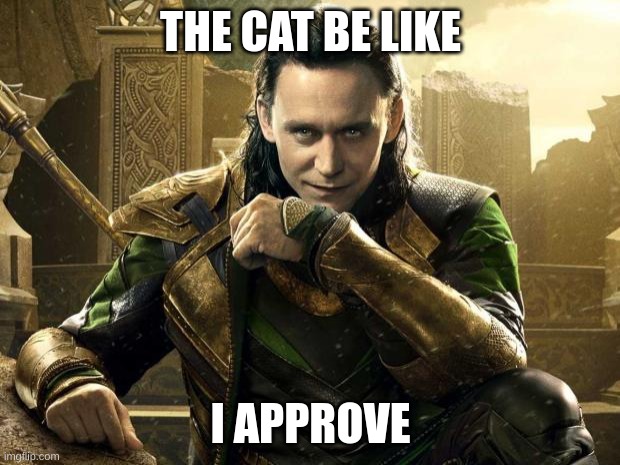 Loki I approve  | THE CAT BE LIKE I APPROVE | image tagged in loki i approve | made w/ Imgflip meme maker