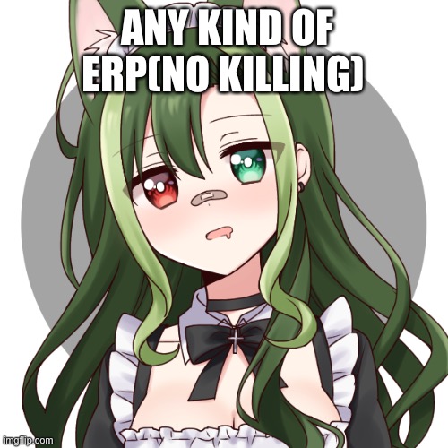 ANY KIND OF ERP(NO KILLING) | made w/ Imgflip meme maker