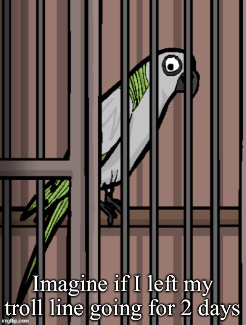 Bird on crack | Imagine if I left my troll line going for 2 days | image tagged in bird on crack | made w/ Imgflip meme maker