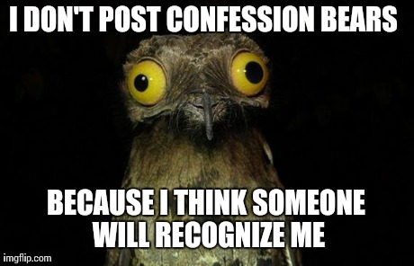 Weird Stuff I Do Potoo Meme | I DON'T POST CONFESSION BEARS  BECAUSE I THINK SOMEONE WILL RECOGNIZE ME | image tagged in memes,weird stuff i do potoo | made w/ Imgflip meme maker