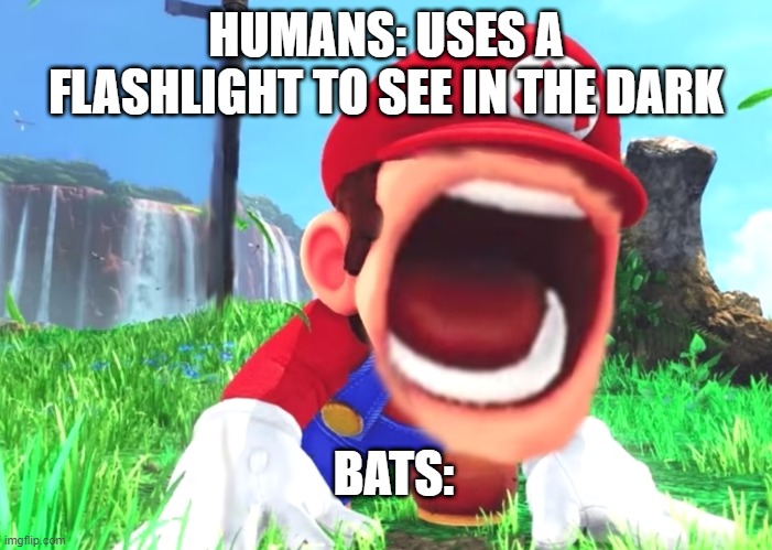 Mario screaming |  HUMANS: USES A FLASHLIGHT TO SEE IN THE DARK; BATS: | image tagged in mario screaming,memes,funny,mario,humans,bats | made w/ Imgflip meme maker