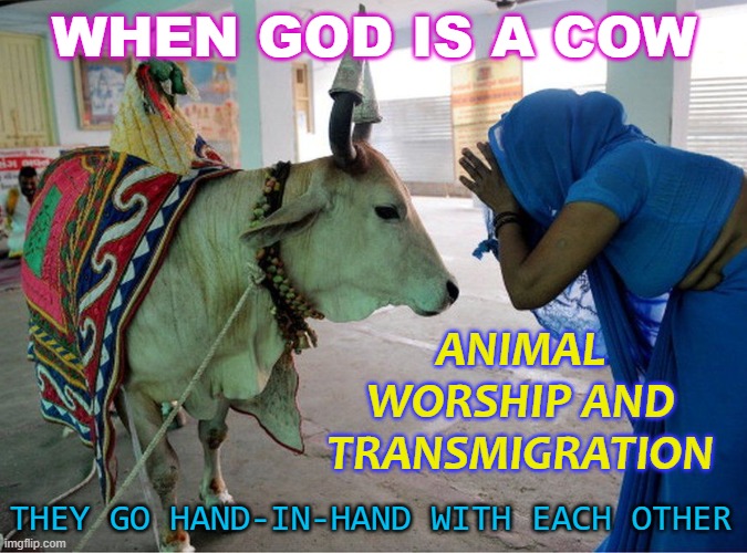 When God Is a Cow | WHEN GOD IS A COW; ANIMAL WORSHIP AND TRANSMIGRATION; THEY GO HAND-IN-HAND WITH EACH OTHER | image tagged in holy cow | made w/ Imgflip meme maker