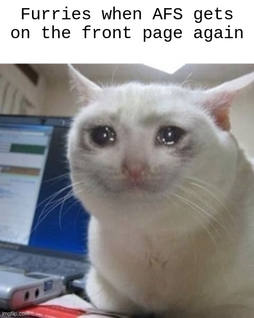 Crying cat | Furries when AFS gets on the front page again | image tagged in crying cat | made w/ Imgflip meme maker