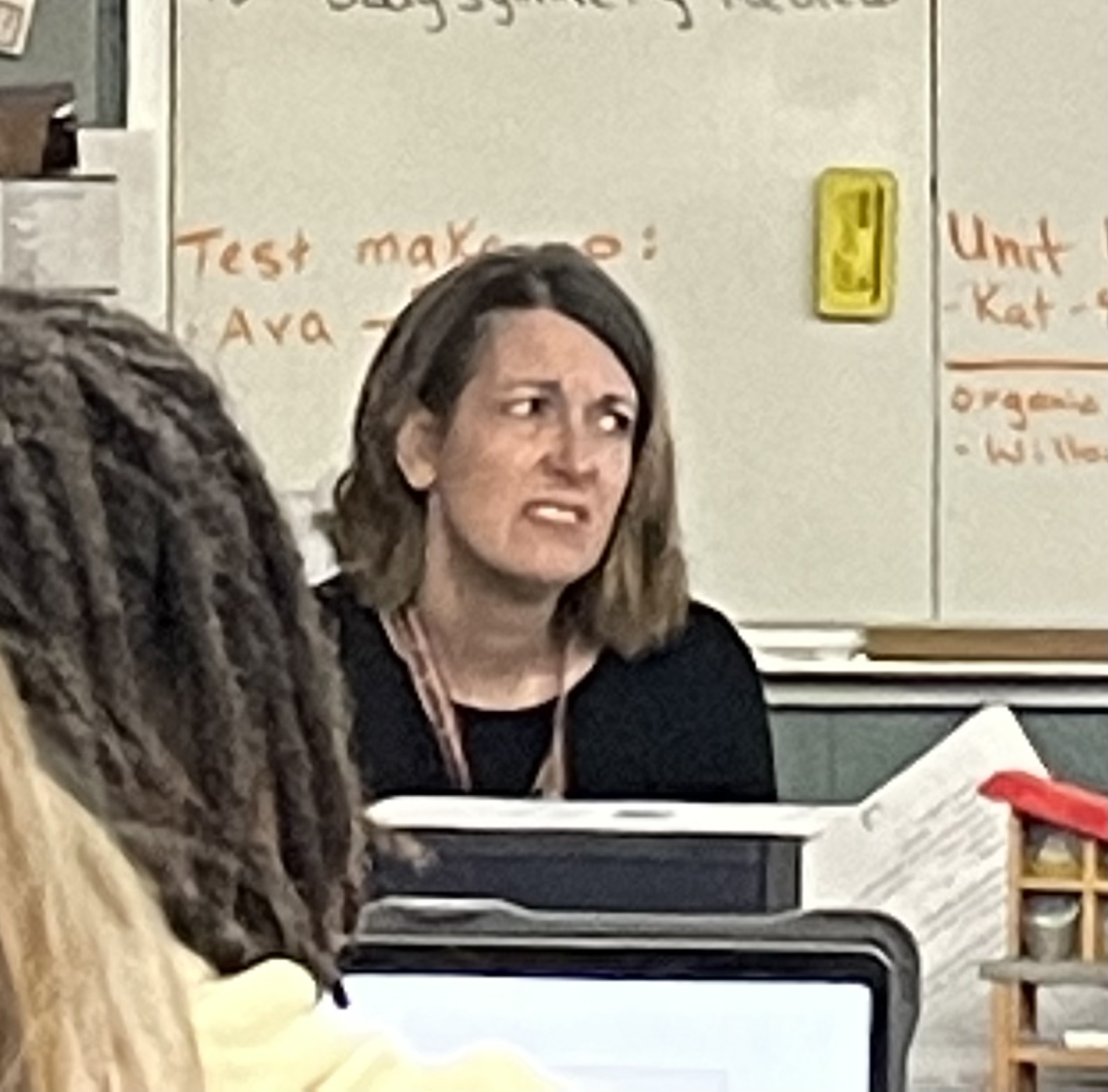 Disgusted Teacher Blank Meme Template