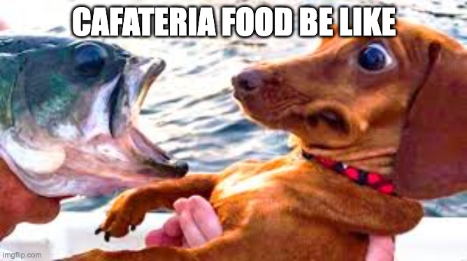 school stuff | CAFATERIA FOOD BE LIKE | image tagged in school | made w/ Imgflip meme maker