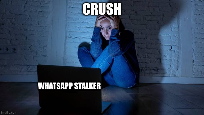 stalker | CRUSH; WHATSAPP STALKER | image tagged in whatsapp | made w/ Imgflip meme maker