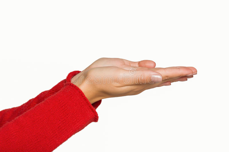 hands requesting Blank Meme Template