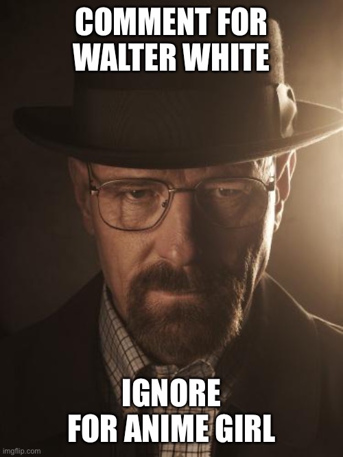 Walter White | COMMENT FOR WALTER WHITE; IGNORE FOR ANIME GIRL | image tagged in walter white | made w/ Imgflip meme maker