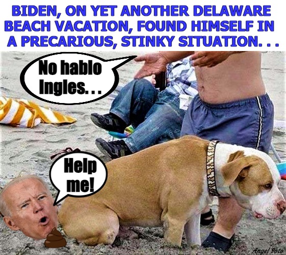 Biden gets pooped on at the beach | BIDEN, ON YET ANOTHER DELAWARE 
BEACH VACATION, FOUND HIMSELF IN  
A PRECARIOUS, STINKY SITUATION. . . No hablo
Ingles. . . Help
me! Angel Soto | image tagged in political meme,joe biden,stinky,vacation,beach,help me | made w/ Imgflip meme maker