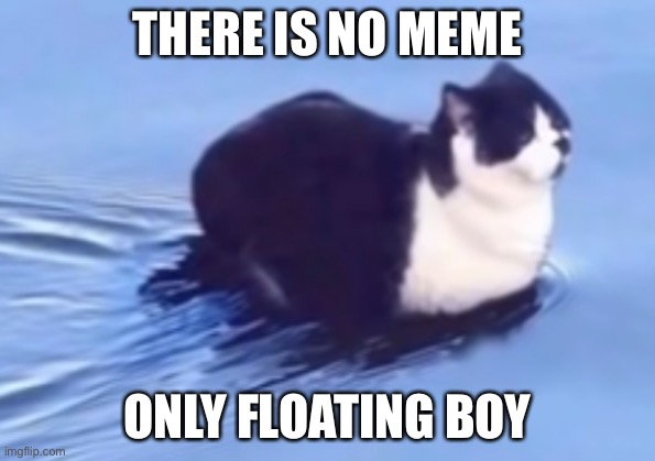 he be floatin | THERE IS NO MEME; ONLY FLOATING BOY | image tagged in he be floatin | made w/ Imgflip meme maker