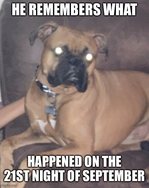 Chucho | HE REMEMBERS WHAT; HAPPENED ON THE 21ST NIGHT OF SEPTEMBER | image tagged in doge | made w/ Imgflip meme maker